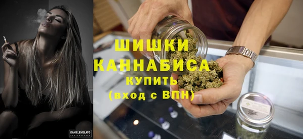 PSILOCYBIN Алзамай