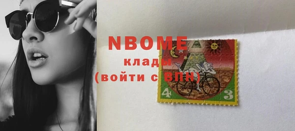 PSILOCYBIN Алзамай
