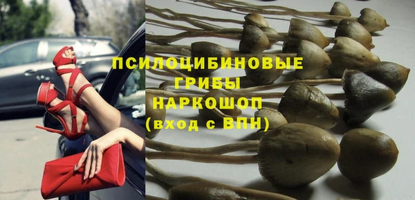 PSILOCYBIN Алзамай