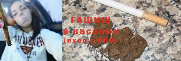 PSILOCYBIN Алзамай